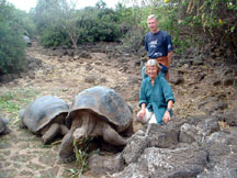Giant tortoises at Darwin Research Station