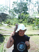 Capuchin monkey on Jean's shoulder