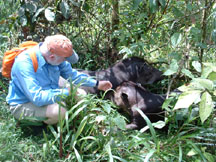 David talks to mother and daughter tapirs