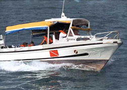 Dive boat Iguana