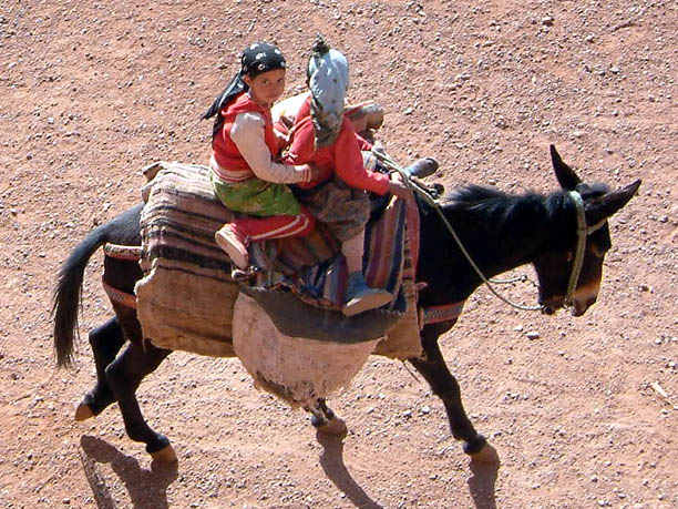 girls on mule