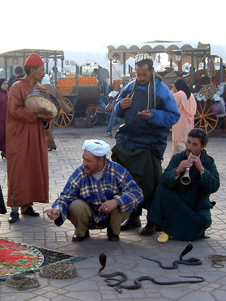 snake charmers 2